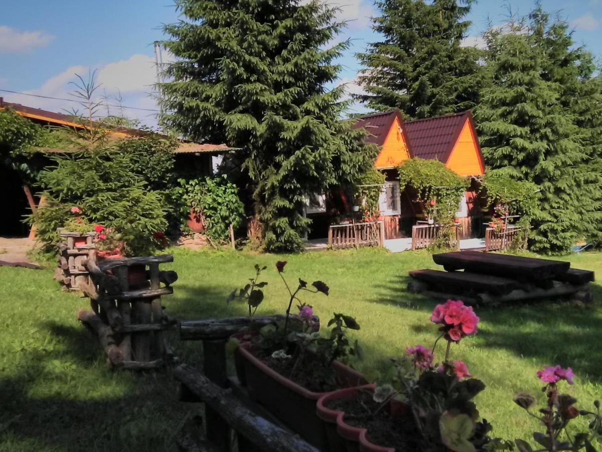 Casa Paltin Vila Si Cabane Poiana Stampei Екстериор снимка
