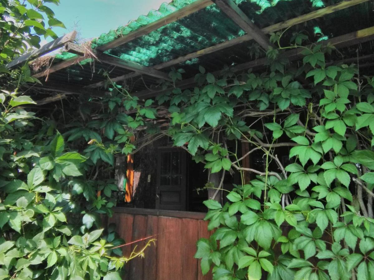 Casa Paltin Vila Si Cabane Poiana Stampei Екстериор снимка