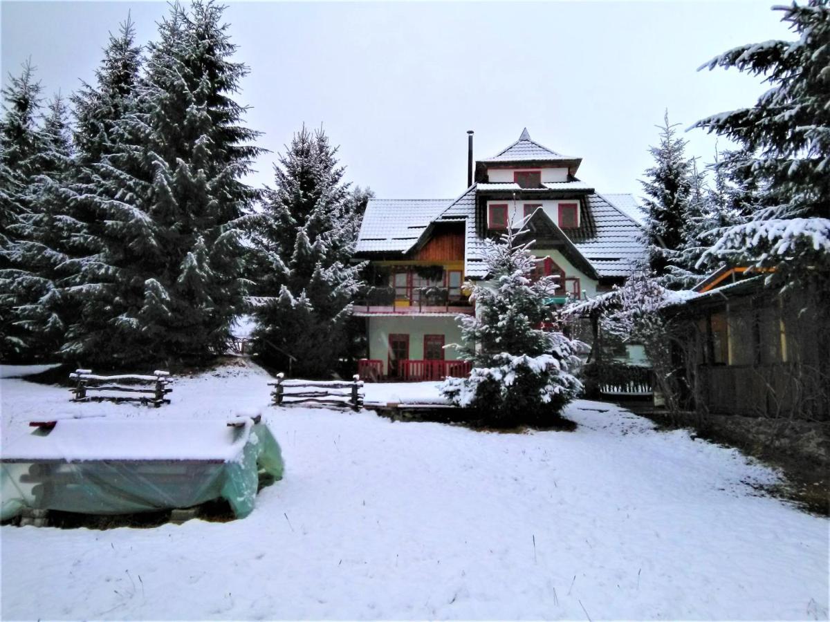 Casa Paltin Vila Si Cabane Poiana Stampei Екстериор снимка
