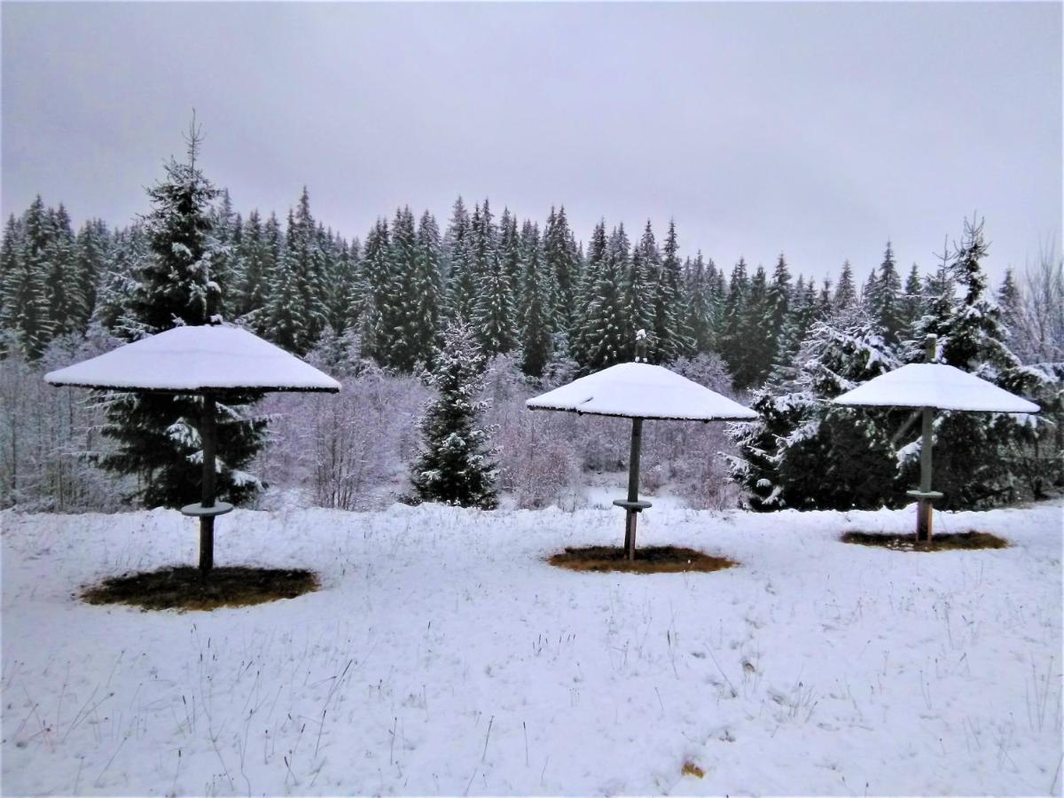Casa Paltin Vila Si Cabane Poiana Stampei Екстериор снимка